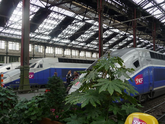 TGV vor der Abfahrt Richtung Süden im Gare de Lyon