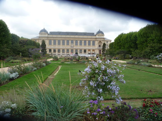Hauptgebäude Naturkundemuseum vom Garten aus gesehen