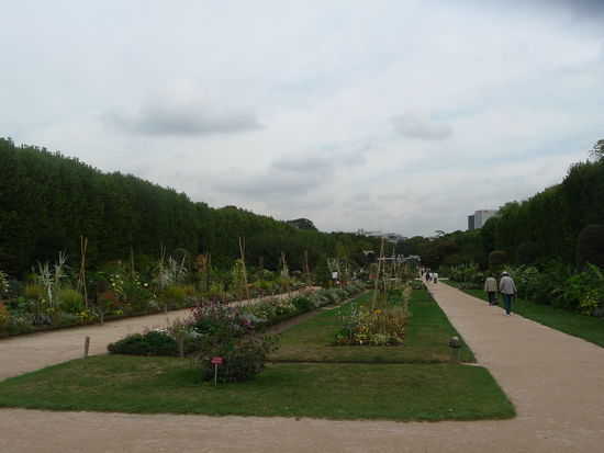Museumsgarten