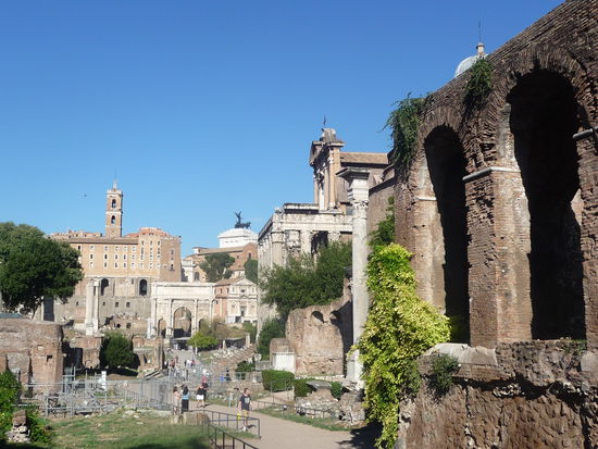 Blick über das Forum Romanum