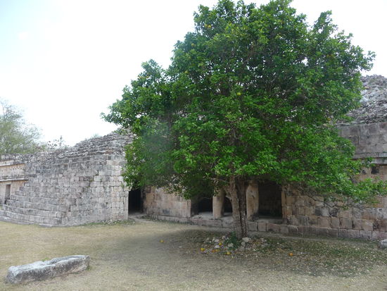 Quadratisches Gebäude Teocalli