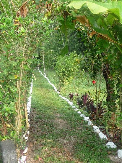 Weg zu unserer Hütte im Lacandonen Camp