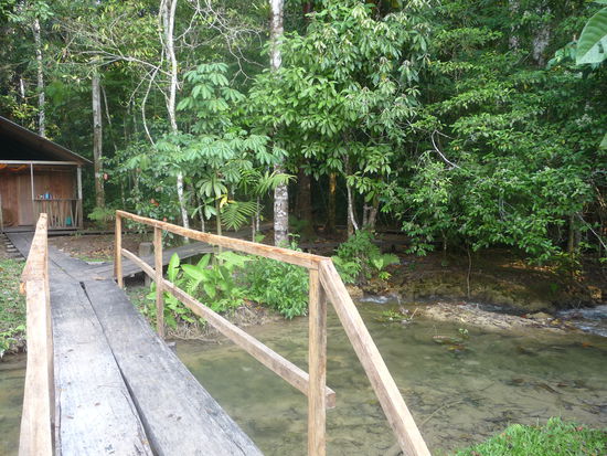 Wildwasserbach vor unsere Hütte