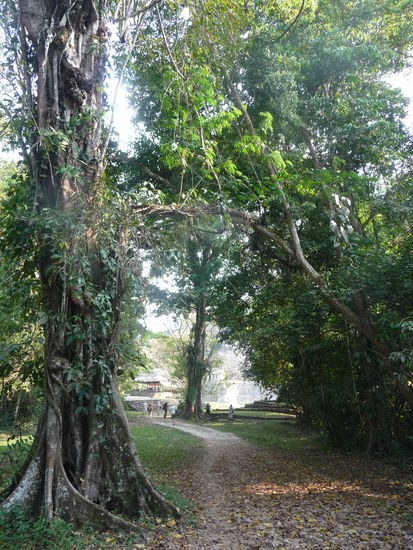 Auf dem Weg zum Tempel