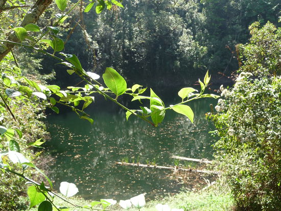 Cenote im Nationalpark Montebello