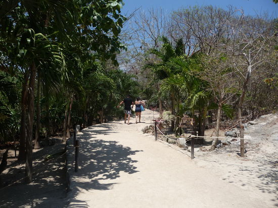 Auf den Weg zu den Tempeln von Tulum