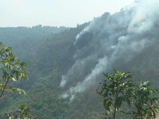 Brandrodung in den Wäldern von Guatemala