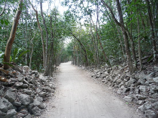 Auf dem Weg Richtung Macanxoc Gruppe mit Ihren Stelen die ich aber nicht besuchte und zur Gruppe Conjunto Pinturas.
