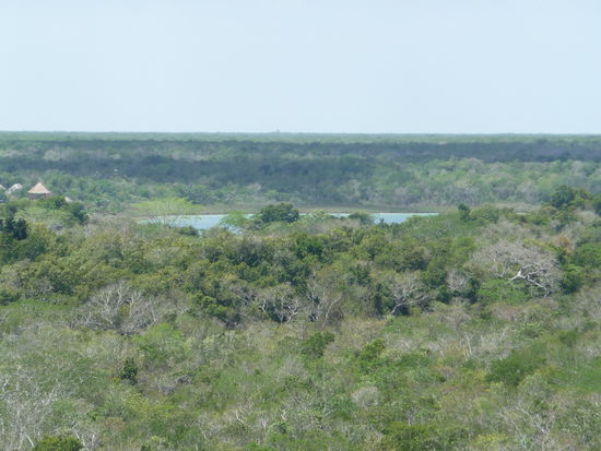 Blick von der höchsten Pyramide in Yucatan auf einen der Seen in Coba