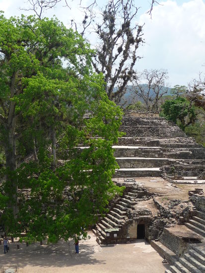 Blick auf Jaguartreppe vorne und auf Tempel 16 im Hintergrund im Osthof