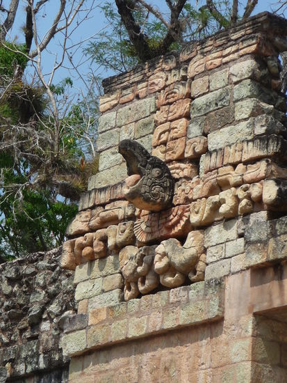 Papagei Kopf am Ballspielplatz