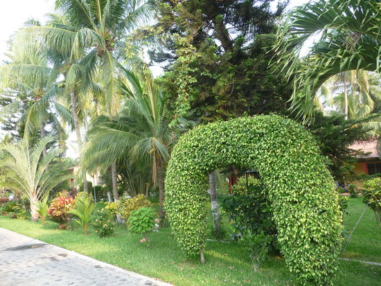 Garten der Hotelanlage