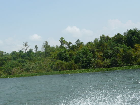 Fahrt auf den Rio Dulce