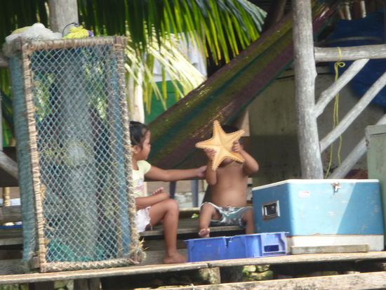 Der kleine Junge zeigt stolz seinen Seestern in die Höhe