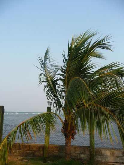 Karibikstrand in Livingston