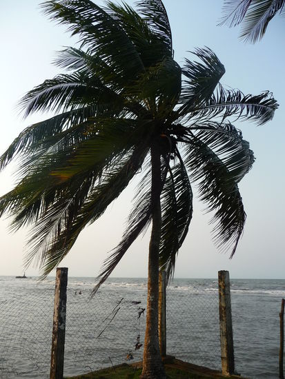 Karibikstrand in Livingston