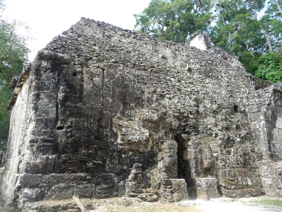 Gruppe G in Tikal