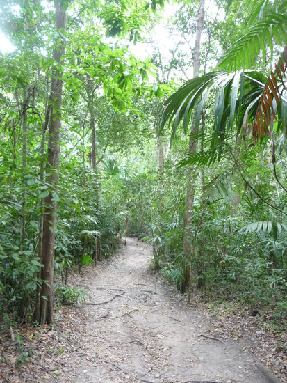 Weiter geht es durch den Dschungel von Tikal vorbei an Komplex O zur Zone Nord und seinem Komplex P