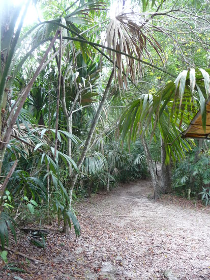 Rückweg vom Komplex P Richtung Gran Plaza