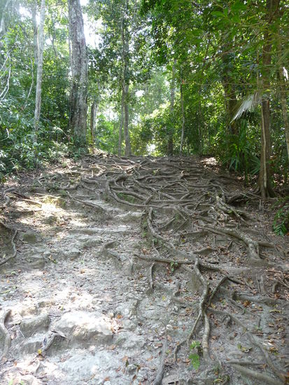 Rückweg vom Komplex P Richtung Gran Plaza . Es geht steil die Berge hoch und runter.