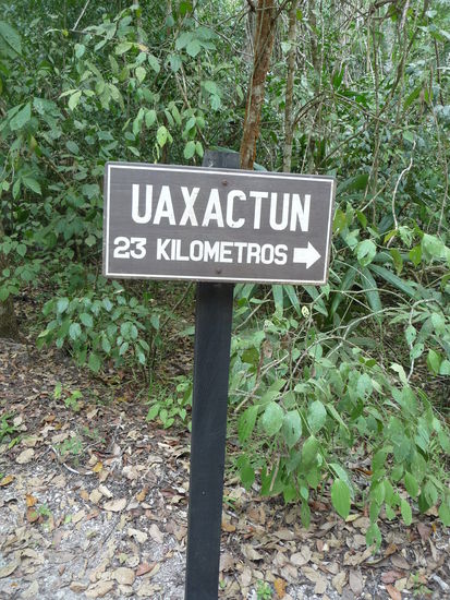 Nach über 6 Stunden bin ich wieder am Ausgang angekommen von wo es auch schon zur nächsten sehr viel kleineren Mayastätte Uaxactun geht aber 23 km sind doch etwas weit. 