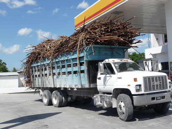 Belize ist auch bekannt für die Zuckerrohrindustrie. Solche LKW voll mit Zuckerrohr begegneten wir häufig