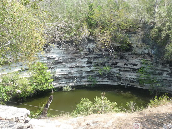 Cenote Sagrado die Heilge Cenote in Chichen Itza - Bei Wasseruntersuchungen vor 100 und nochmal vor 50 Jahren wurden tausende Fundstücke u.a.Keramik,Schmuckstücke,Jade,Gold und über 50 menschliche Skelette gefunden die vermutlich geopfert wurden.