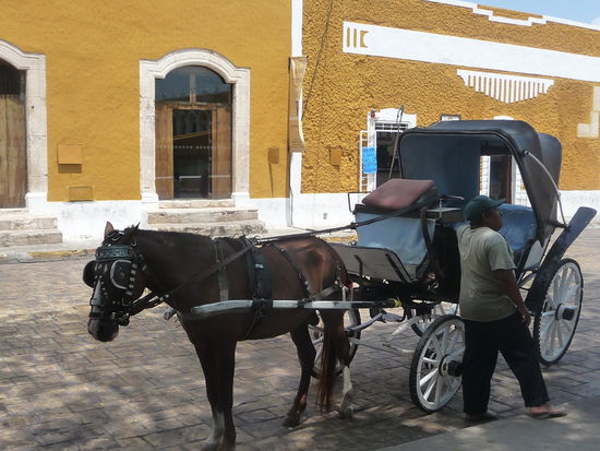 Eine von vielen Pferdekutschen in Izamal