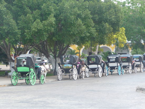 Kutschen in Izamal