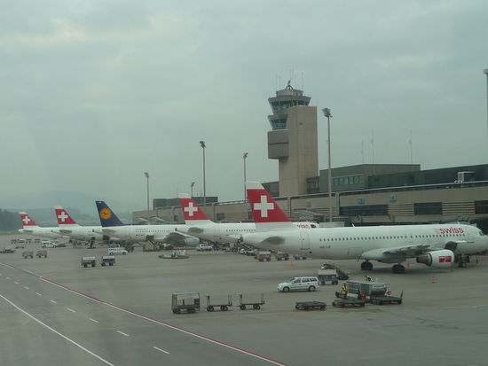 Die Swiss in Reih und Glied und dazwischen noch ein Kranich