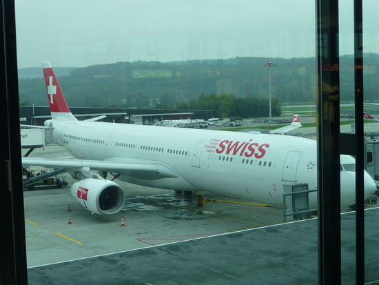 Hier steht bereits mein Flieger ein zweimotoriger A 330 - 300 nach Mumbai bereit