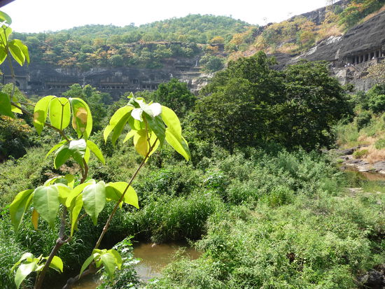 Blick auf die Ajanta Höhlen