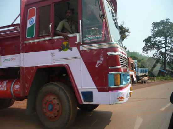 Dieser LKW Fahrer versperte uns ersteinmal den Weg und überhaupt scheint gegenseitige Rücksichtsnahme auf den Straßen in Indien oftmals ein Fremdwort zu sein. Jeder verläßt sich auf seine Huppe in der Hoffnung das der andere schon rechtzeitig Platz machen wird was aber nicht immer funktioniert wie ich an zahlreichen Unfällen sehen konnte.