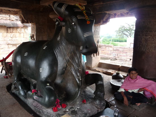Nandi Pavilion mit heiliger Kuh