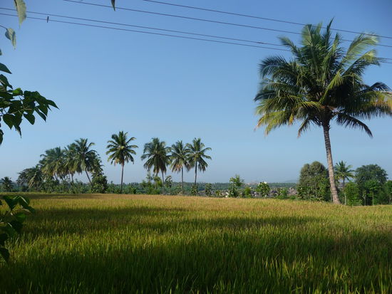 Blick von meinen Bungalow Richtung Hampi