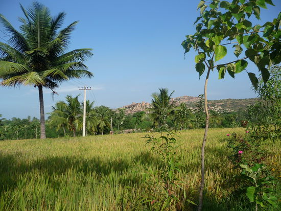 Blick von meinen Bungalow Richtung Hampi