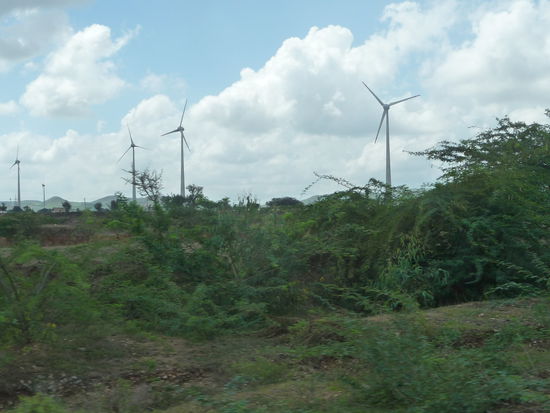 Auch in Indien setzt man auf erneuerbare Energien