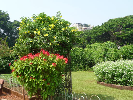 Pherozeshah Mehta Gardens in Mumbai