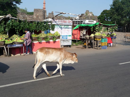 Im Hintergrund sieht man Türme und Mauern der Festung Daulatabad aus dem 12. Jh. etwas außerhalb von Aurangabad gelegen.