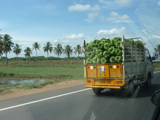 Auf den Weg nach Madurai - Bananen Transport