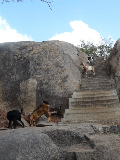 Zum Leuchtturm und den Höhlentempeln
