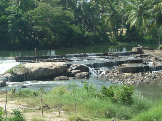 Kleiner Fluß in Kerala