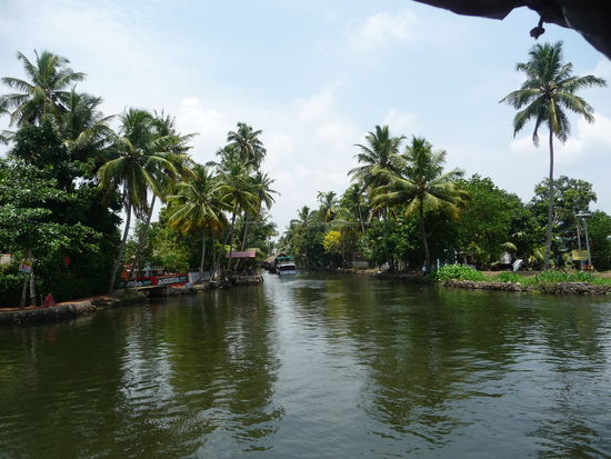 Backwaters in Kerala