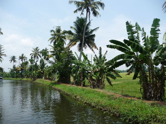 Backwaters in Kerala