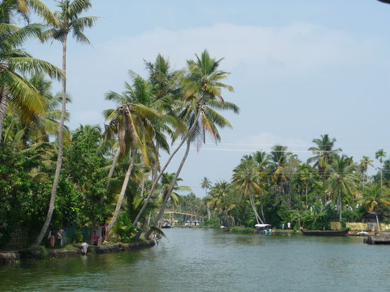Backwaters in Kerala