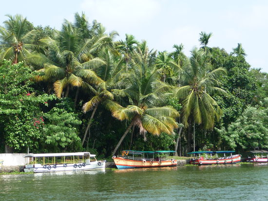 Backwaters in Kerala