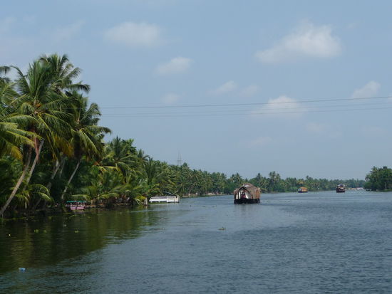 Backwaters in Kerala