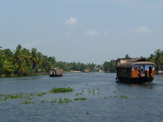 Backwaters in Kerala