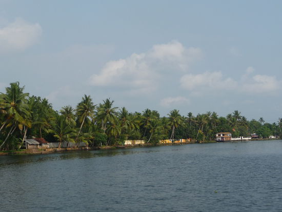 Backwaters in Kerala
