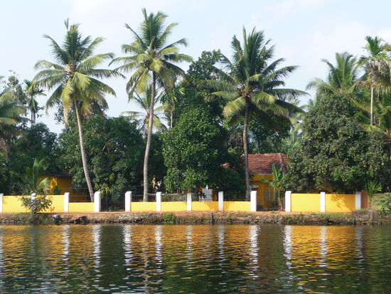 Backwaters in Kerala